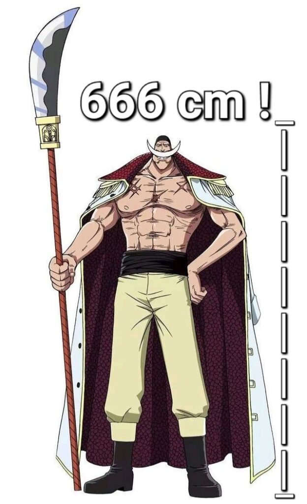 Whitebeard Height and Kuma Height Relationship Explained