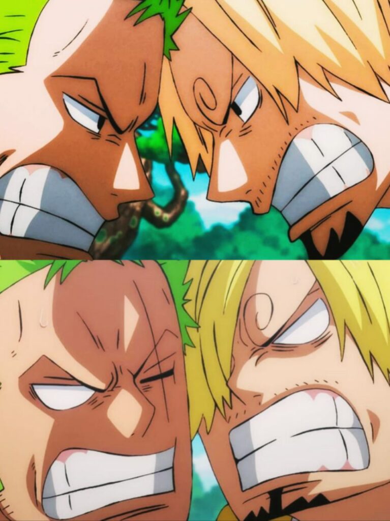 Sanji And Zoro Fighting Moments