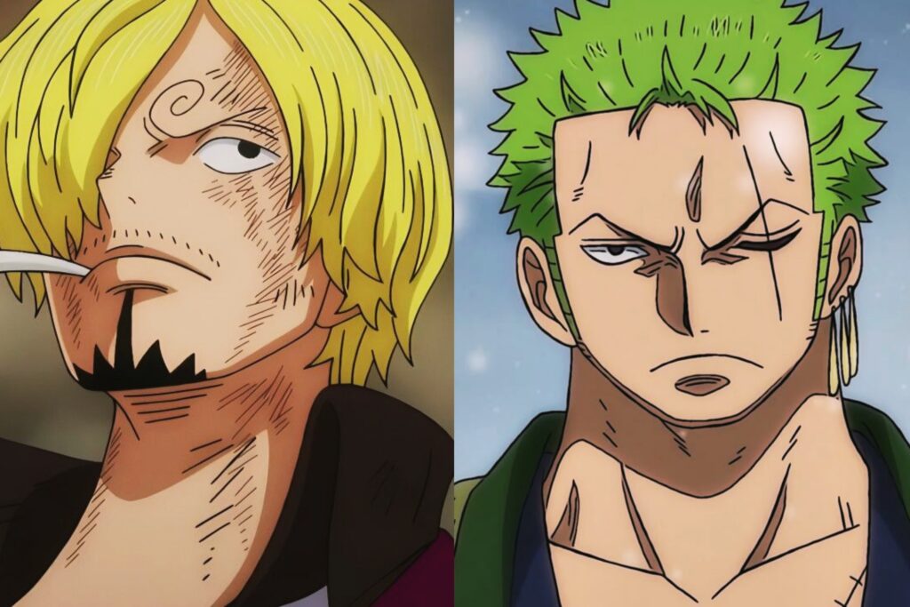 Sanji vs Zoro who is stonger and why